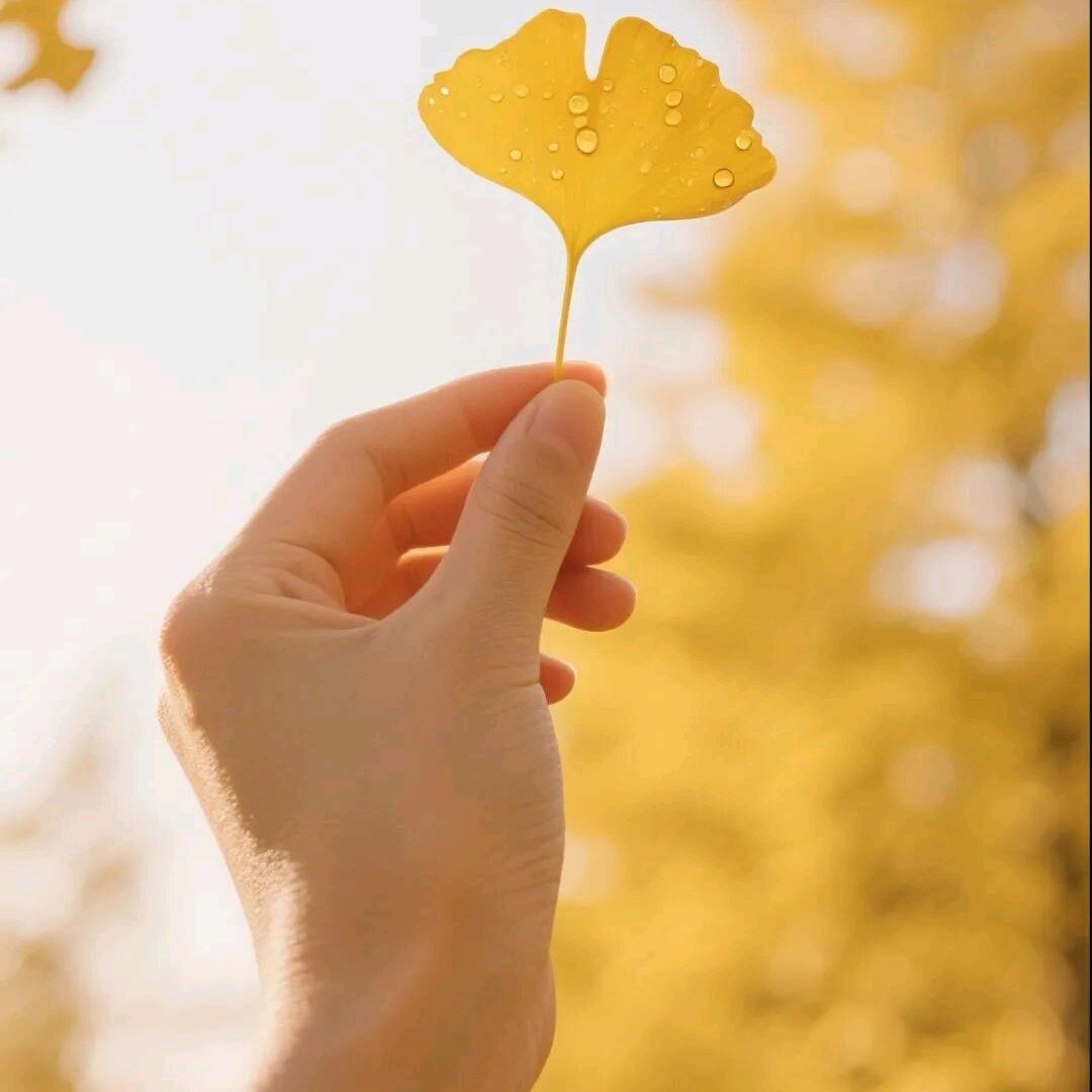 ꧁❀🌸梅姐的帕萨特Pro💯❀꧂