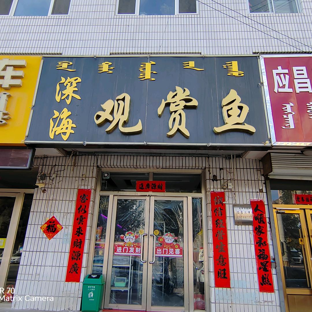 深海观赏鱼店丹丹