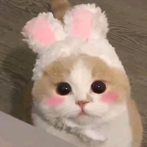 🌱ོ止于心ꦿএ᭄²⁰²³