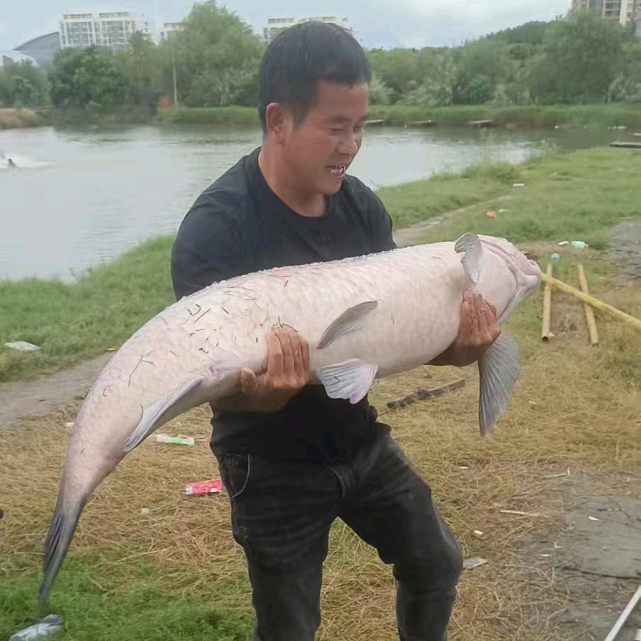 小太阳博大物