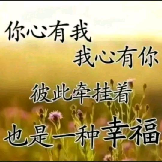 永远✌👌✍