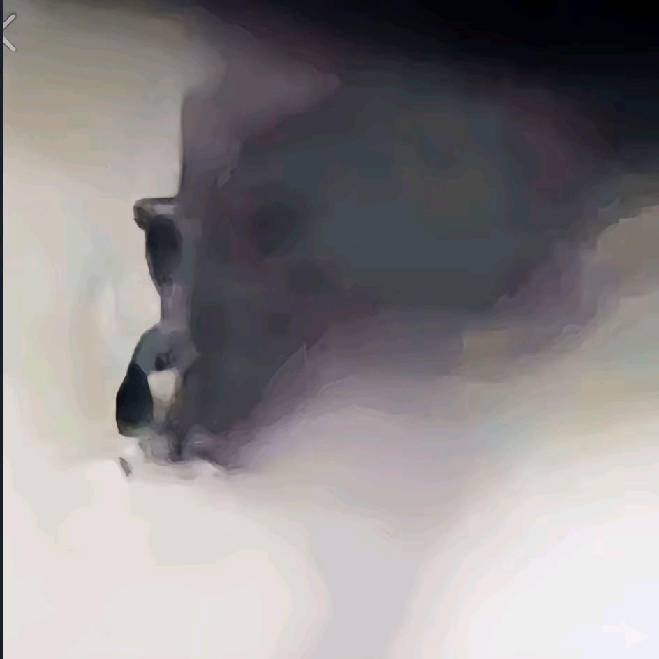 鸽哥