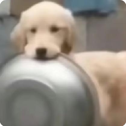 诚诚碎碎念啦