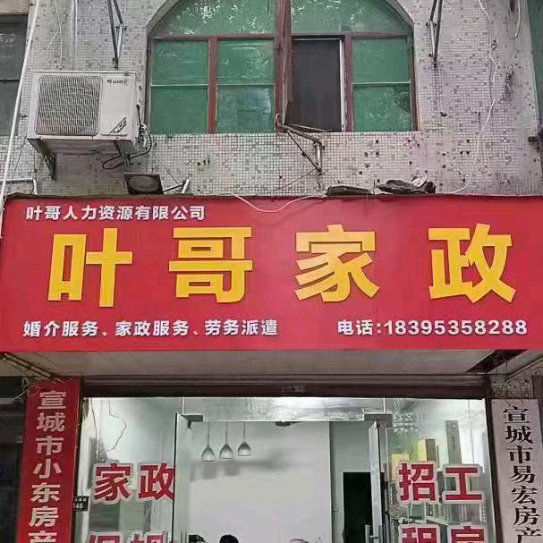叶哥家政《鸿娘》