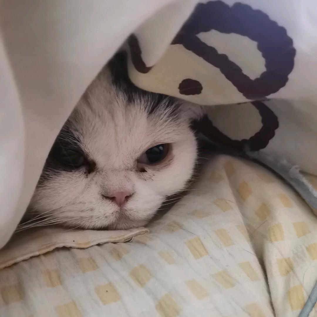 我无处不在