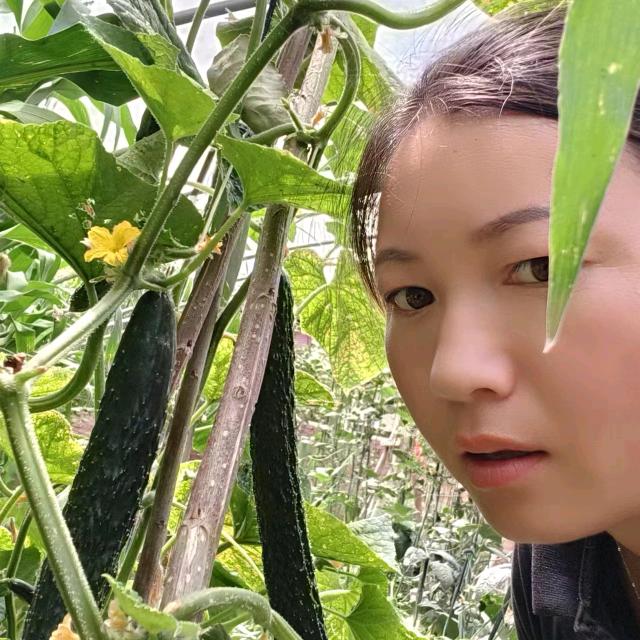 付集镇欣悦鼓舞团@老二