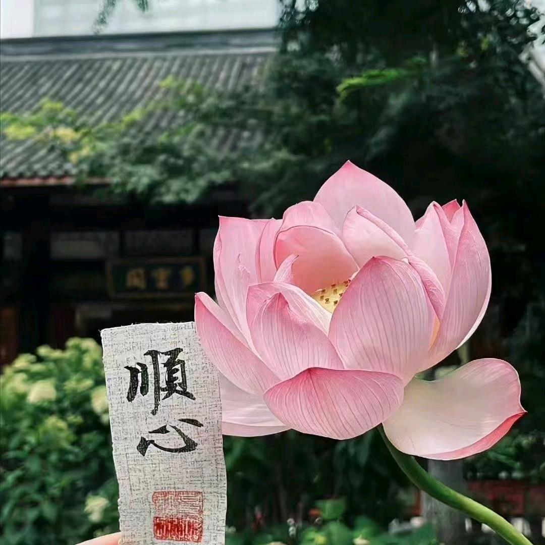 随缘堂🦊2号