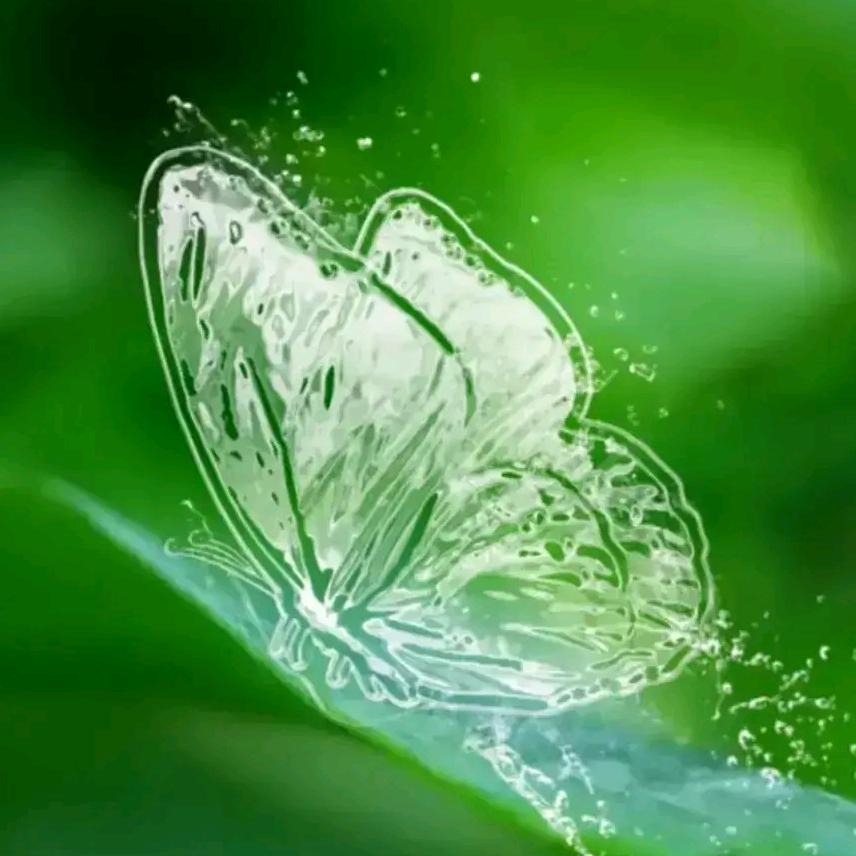 满眼笑意（拒私聊）