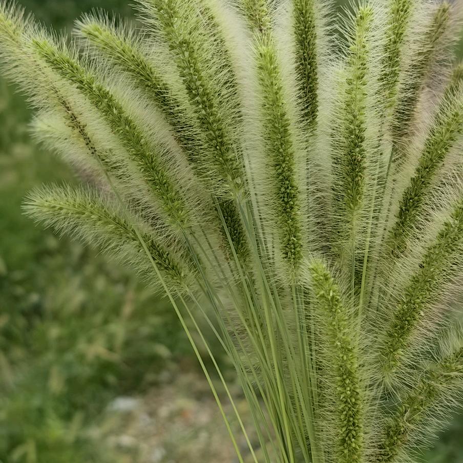 回不去的曾经