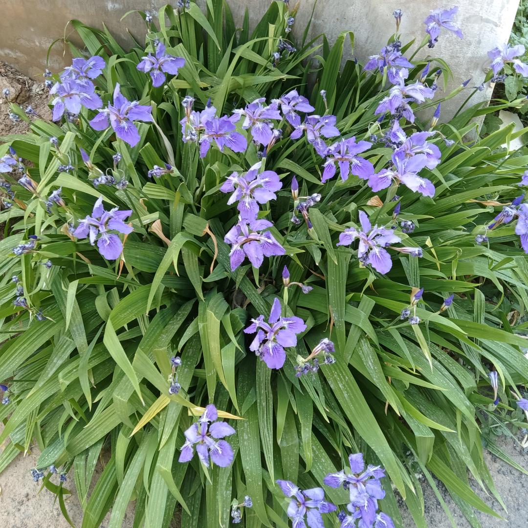 中物建础...直播号