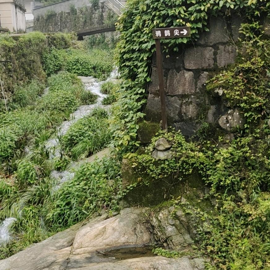 努力才有希望