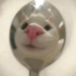_等你很久了
