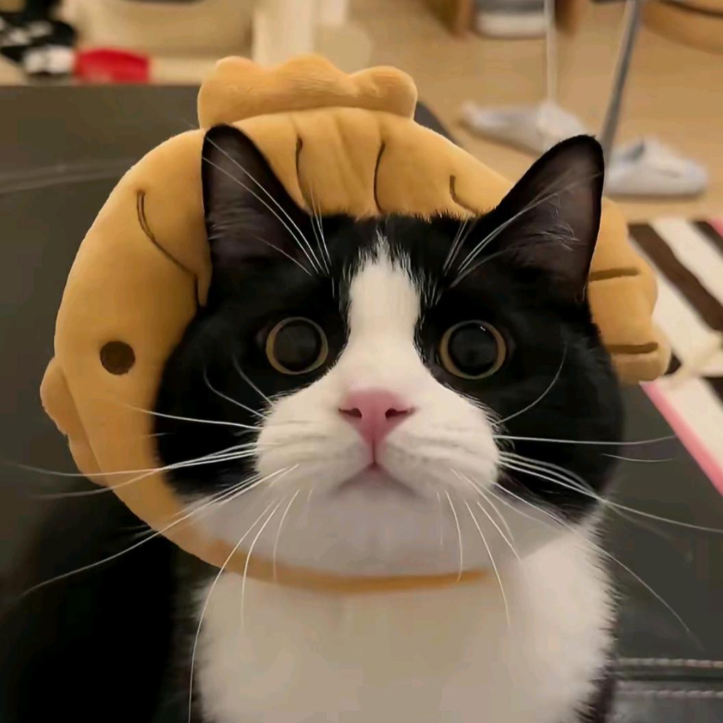 AAA.三天打鱼两天晒网