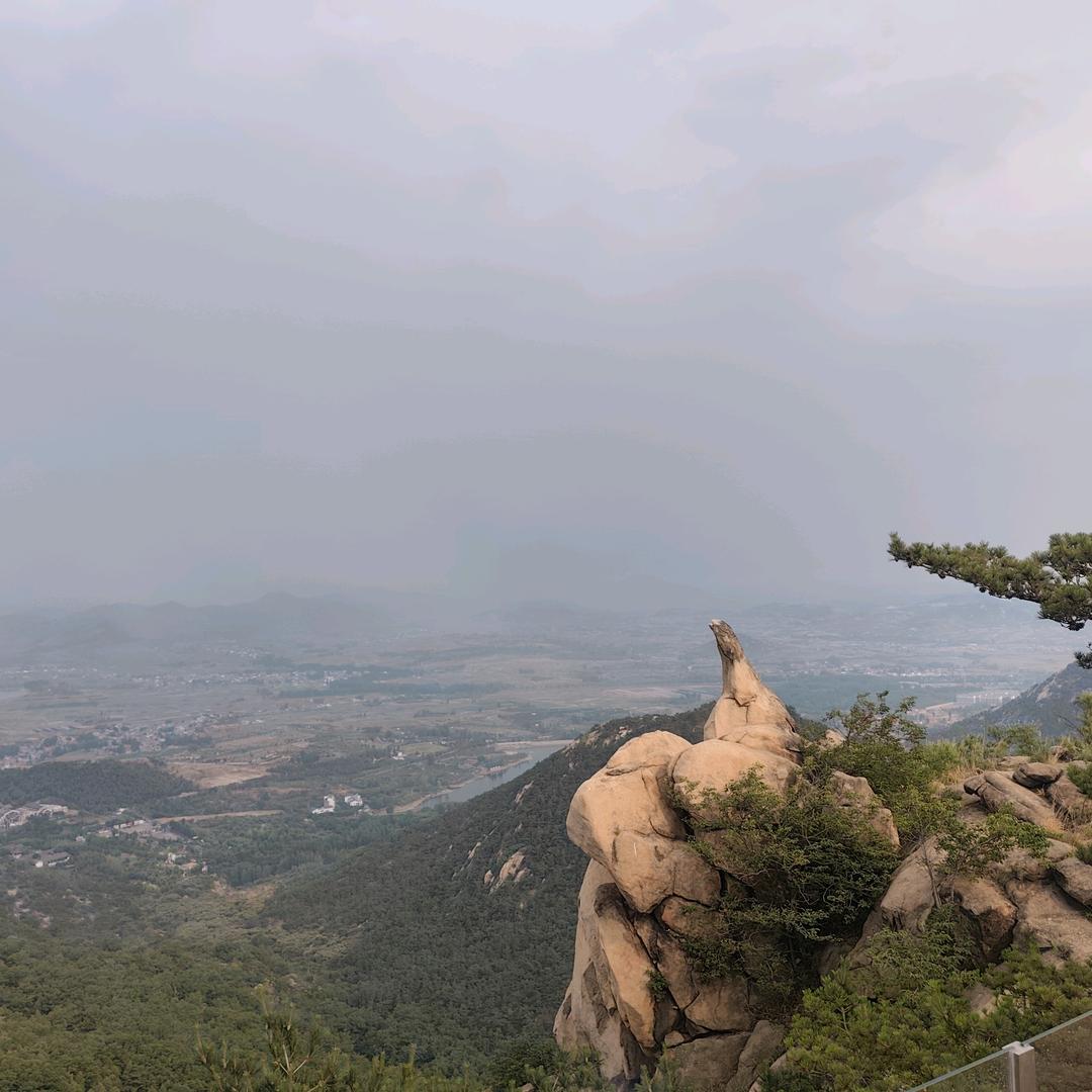 曹小丽