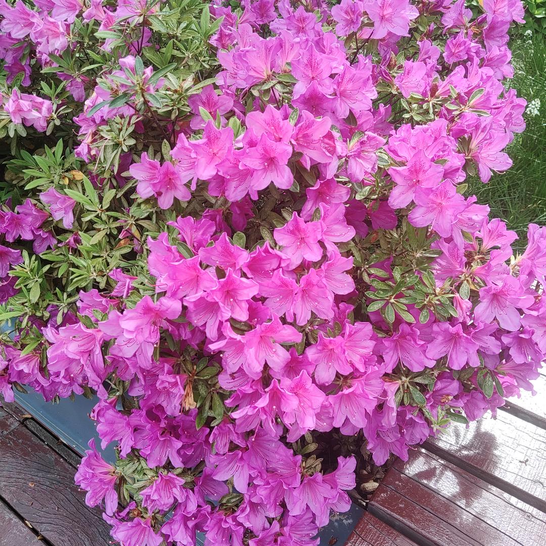 💪人生没有回头路💪