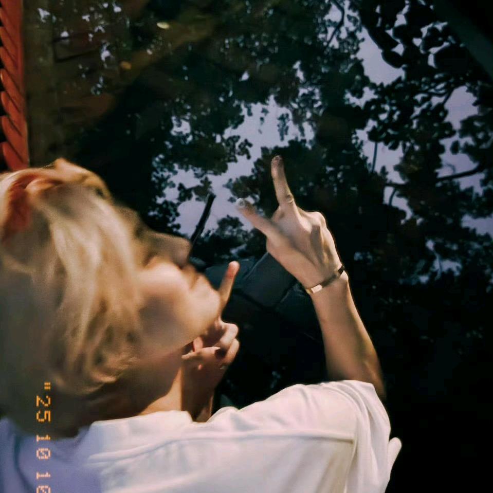 星河有鹿