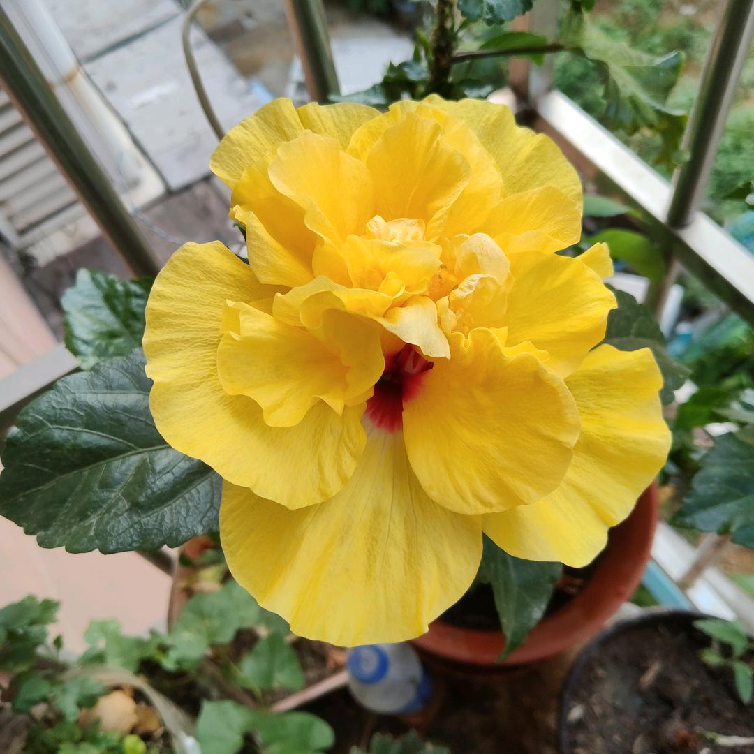 闲敲石子望天涯