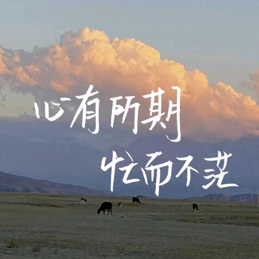 王，天朗气清