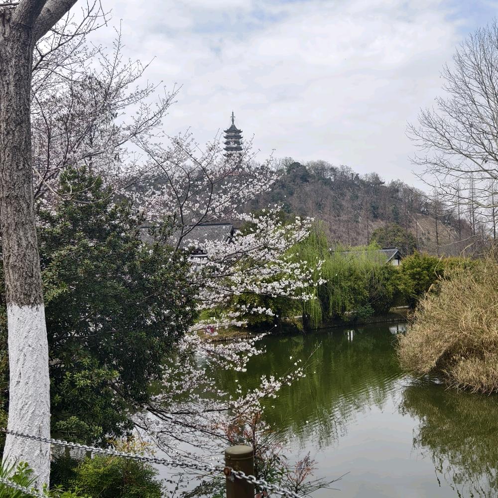 @众诚