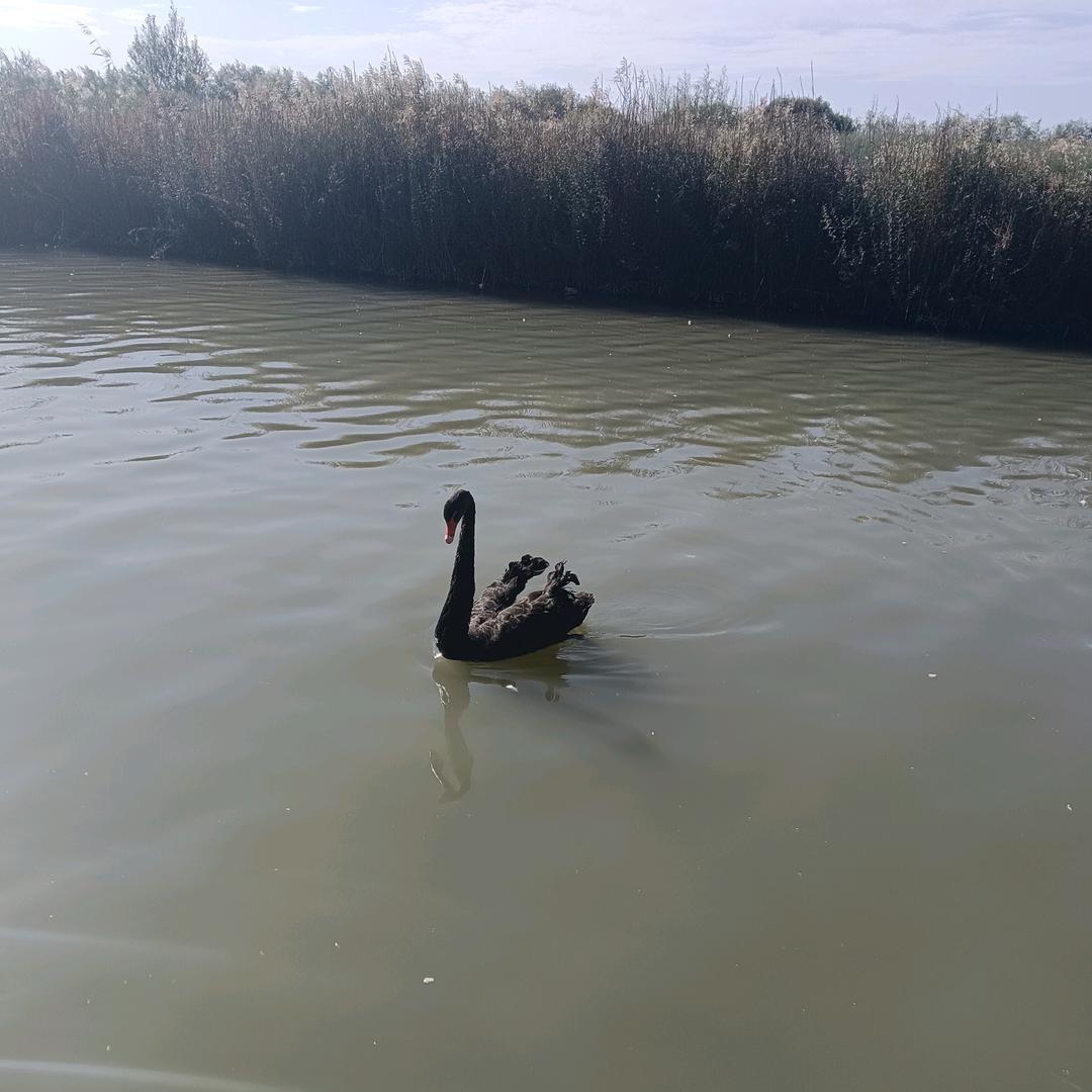 爱而不得（封）