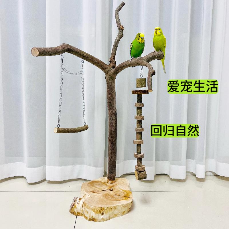 红枫宠物用品