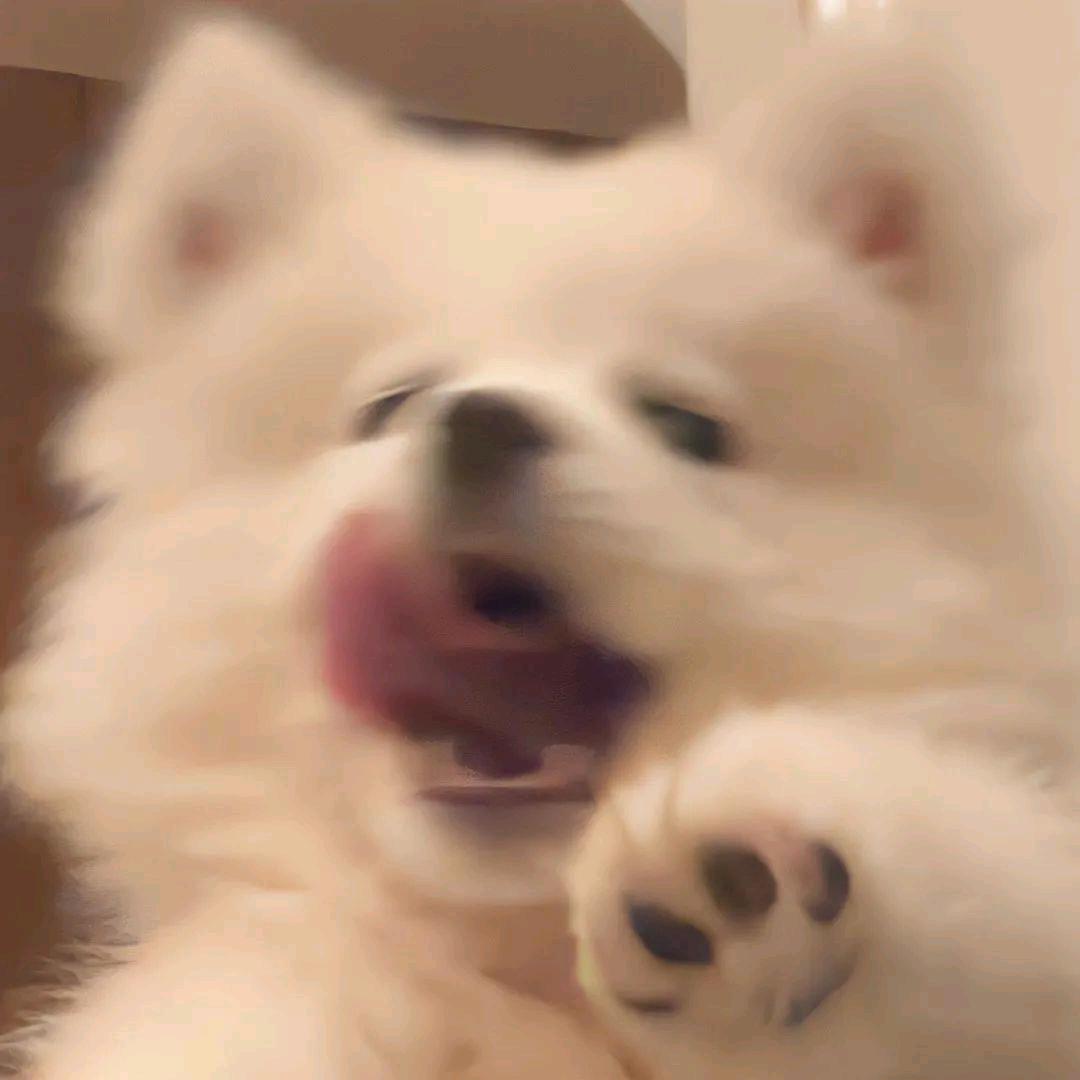 点击填写新名字