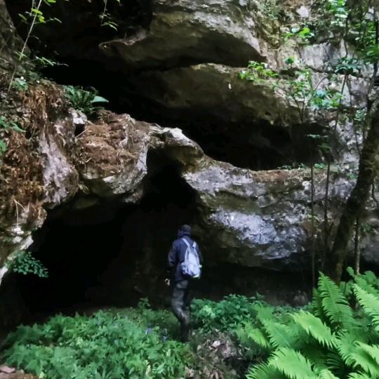 𝑻𝒖𝒏𝒂 有魚