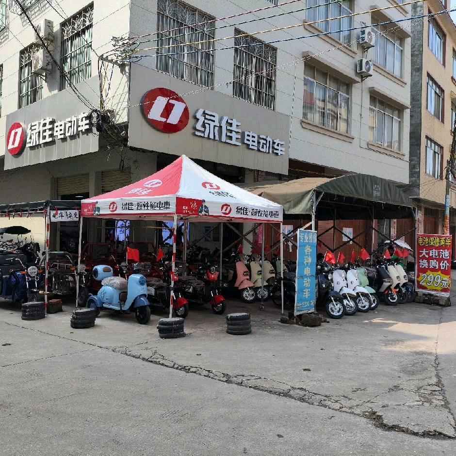 大洋绿佳电动车