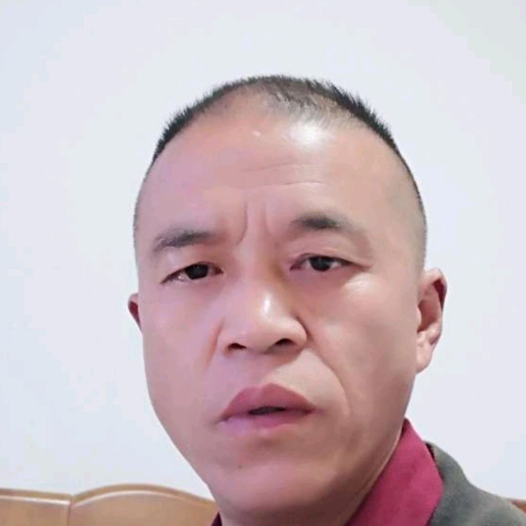 自由飞翔