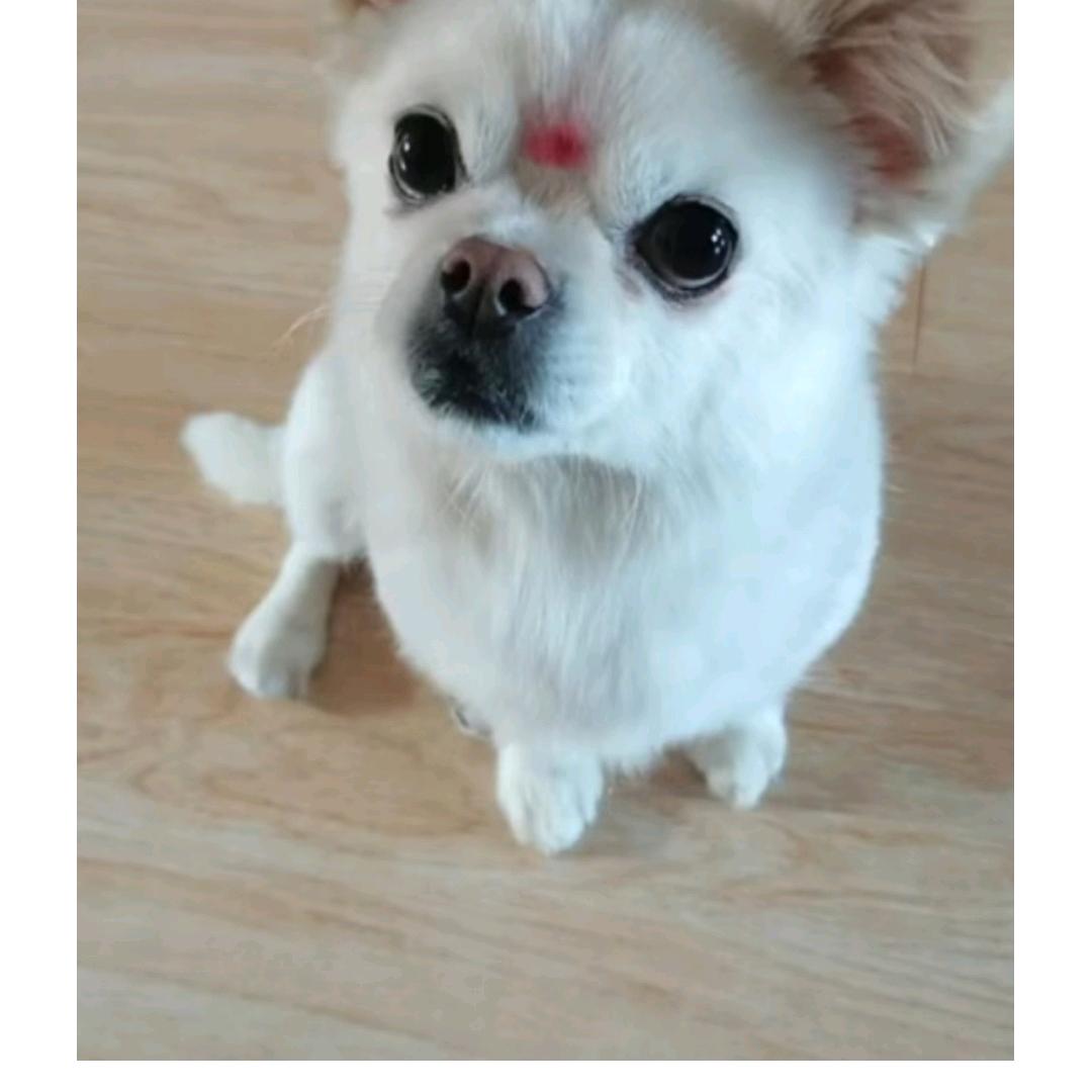 热辣滚烫