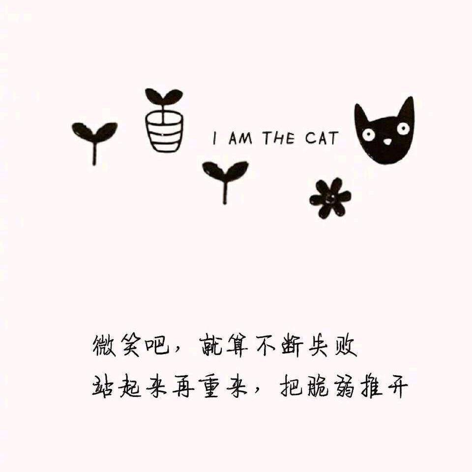 🌈最爱炒鸡蛋🌈