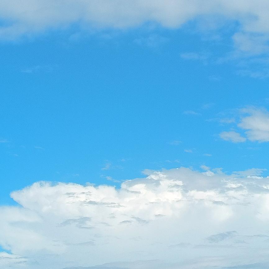 清空