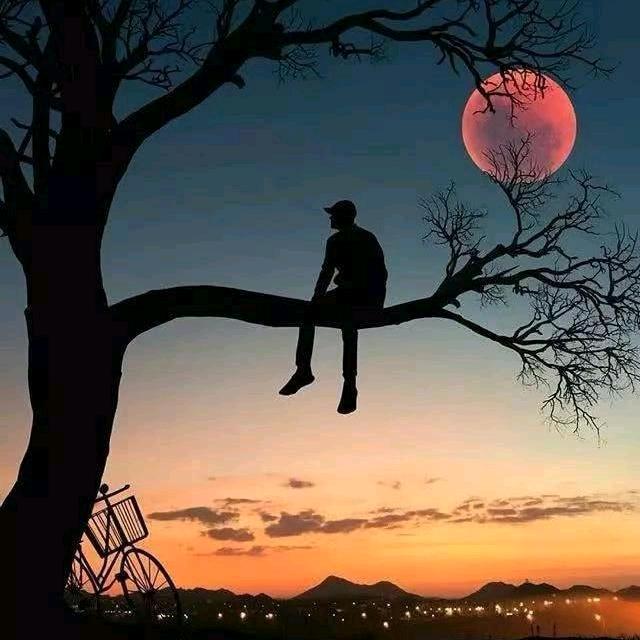 平  淡（暂退）