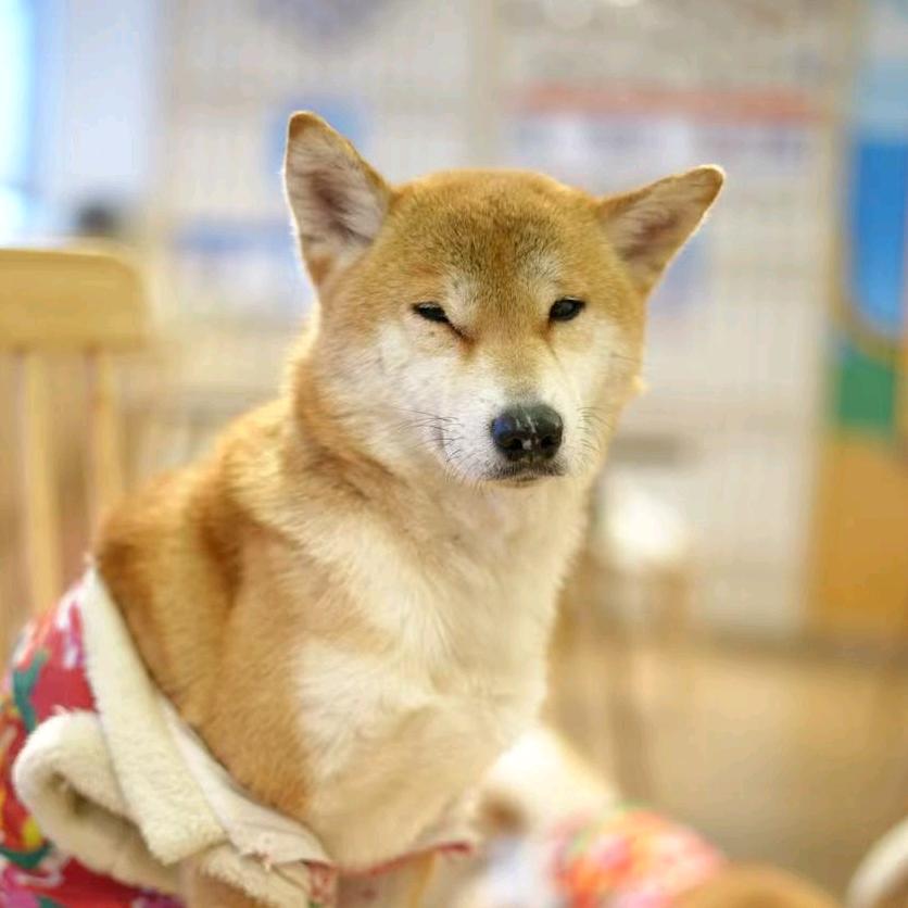 西西弗斯