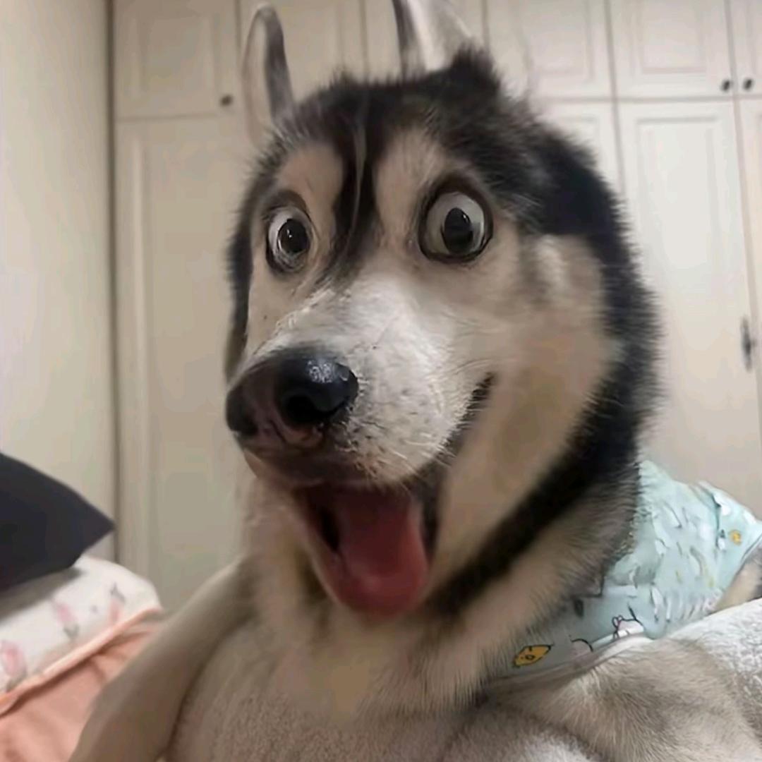 很烦