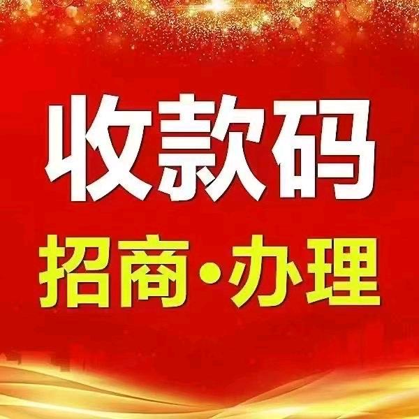 大成子聊支付