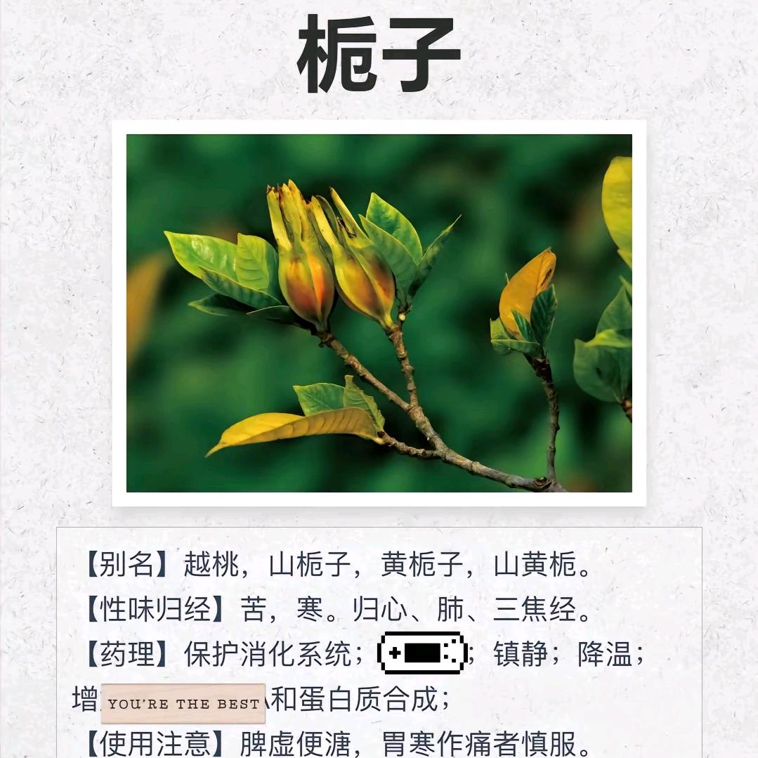 收购通草，淫羊藿，天门冬等