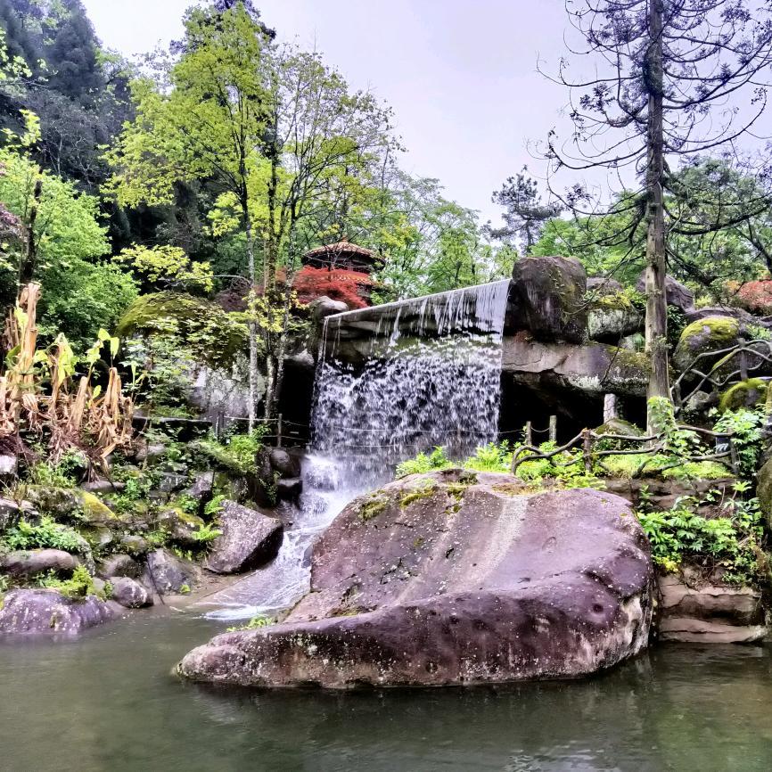 小雷子