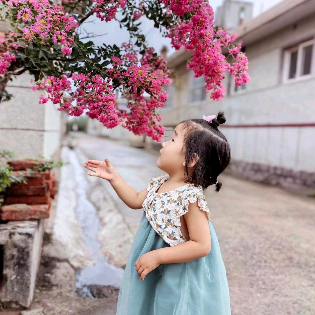 xiaoxiaozhih15