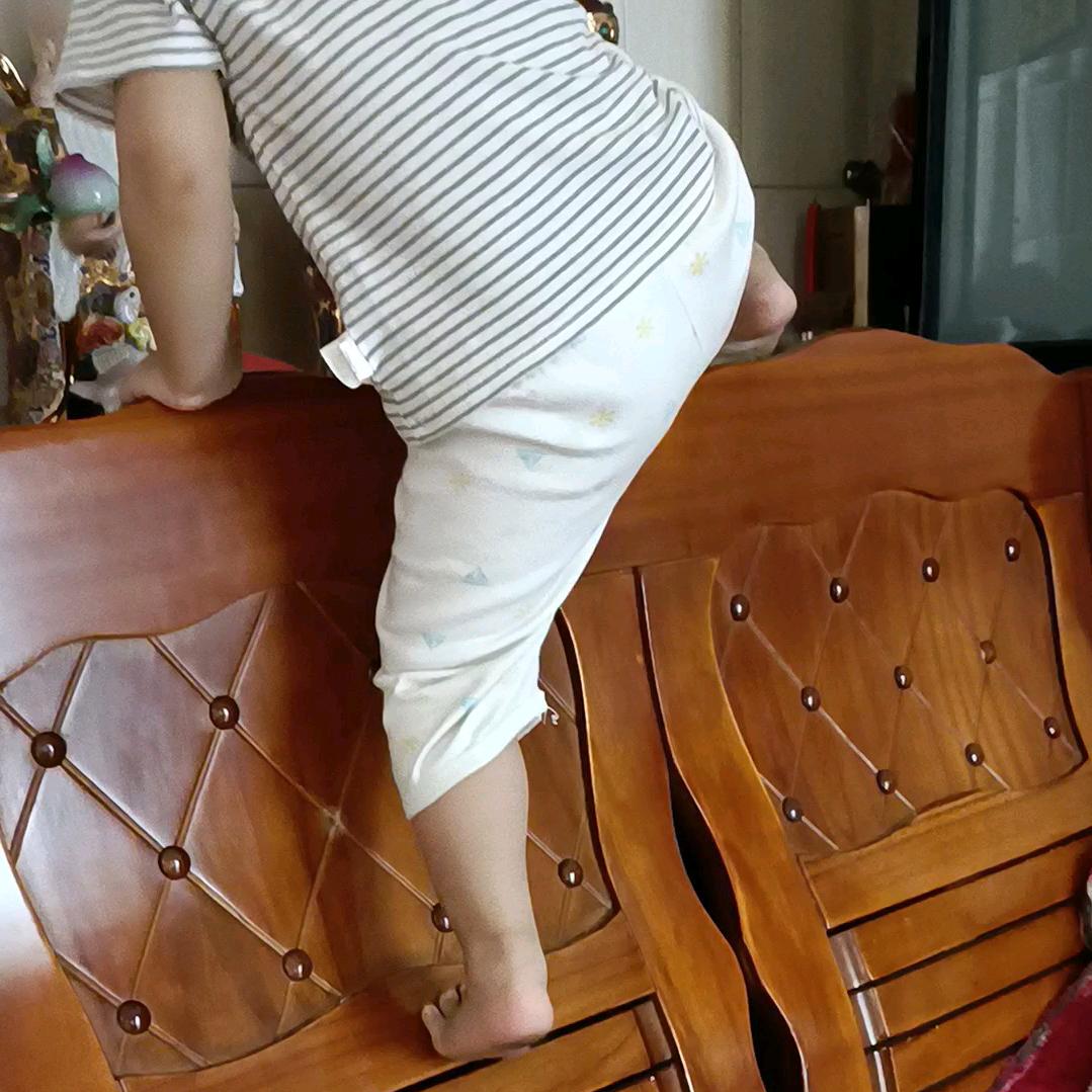 陽光