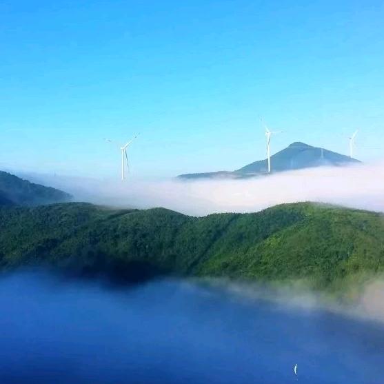 沉默静思