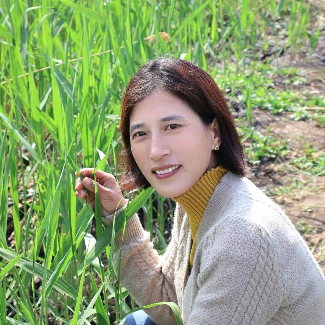幸福一辈子.