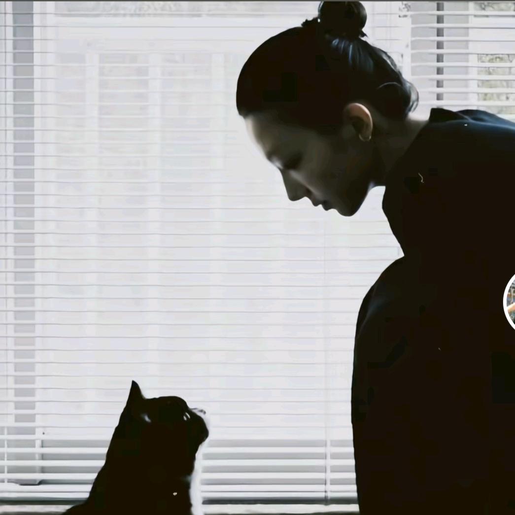 ᨳᤢ້໌ᮩᤣ清悦໊ɞ