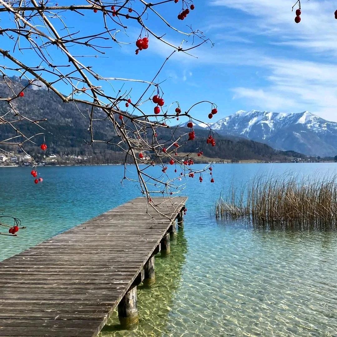 ٩(￥A￥)۶高原战狼