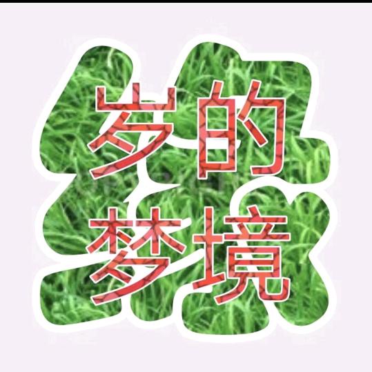 🍀岁的梦境🍀