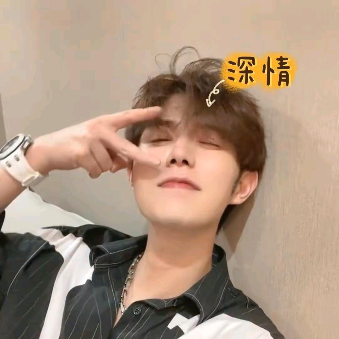 小杨没烦恼