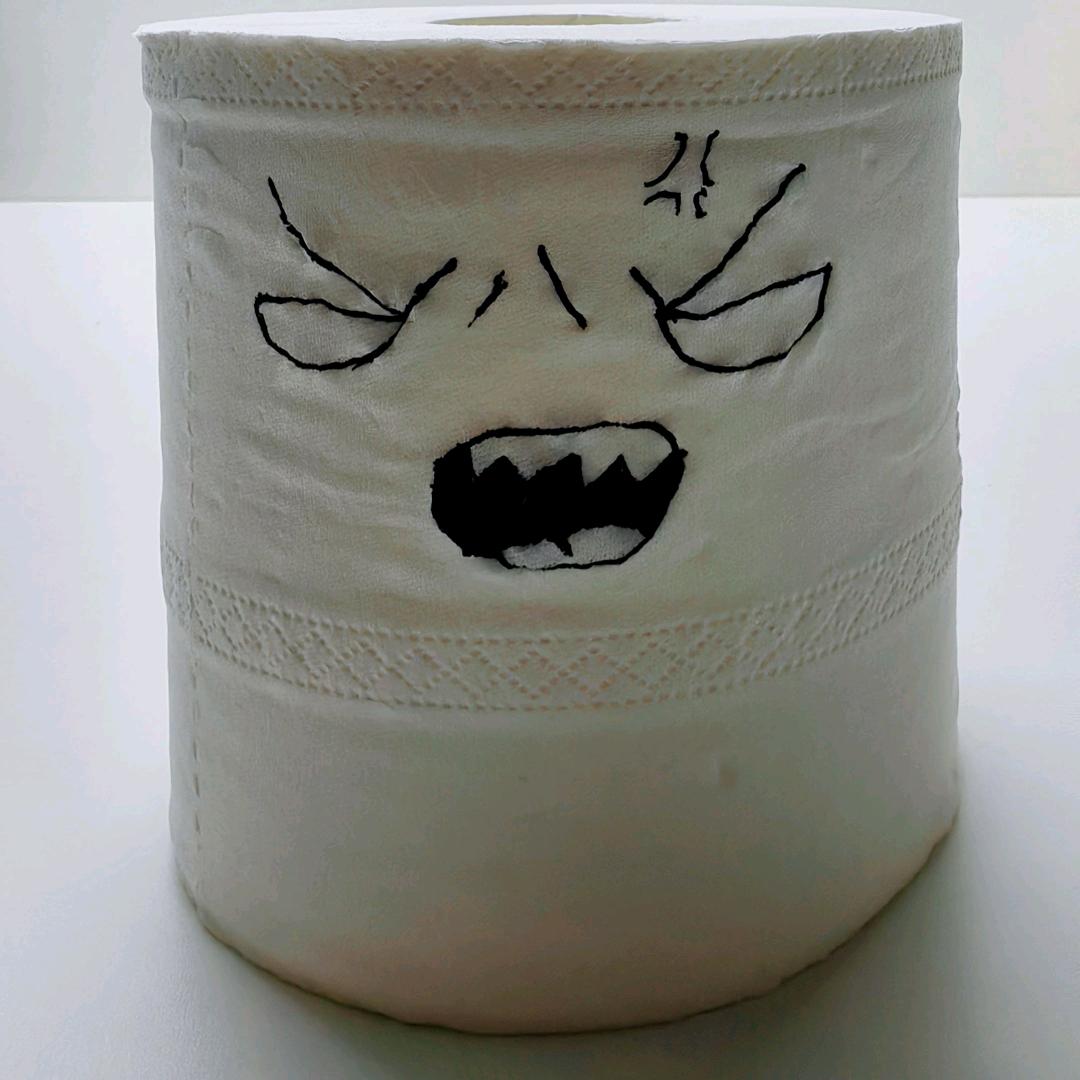 卫生纸🧻