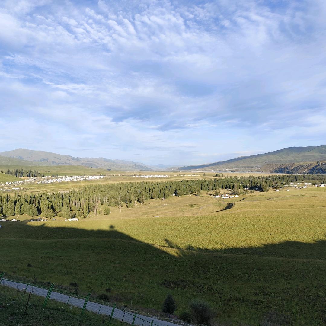 花绽人非少年梦