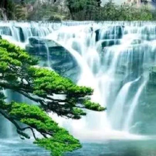 江湖浪子，小罗