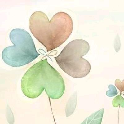 ✨(｡无忧🌲无虑｡)✨